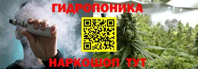 шишки Краснознаменск