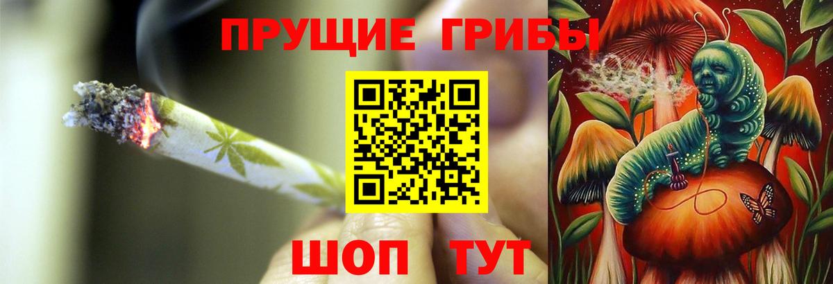 Южноуральск  Псилоцибиновые грибы Psilocybe  магазин продажи наркотиков  Псилоцибиновые грибы мухоморы  Вход с VPN 